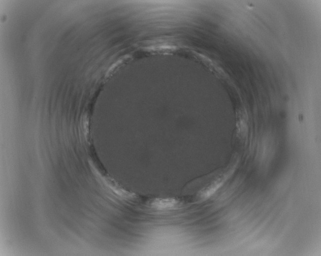 X0000070240767200606051125