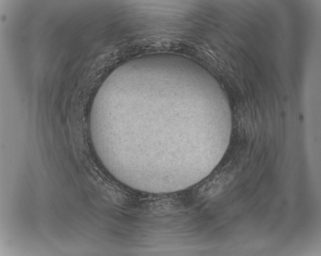 X0000070240769200606051124