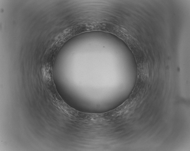 X0000070240770200606051124