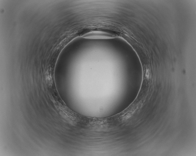 X0000070240771200606051124