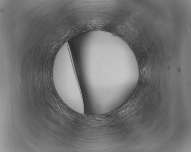 X0000070240772200606051124