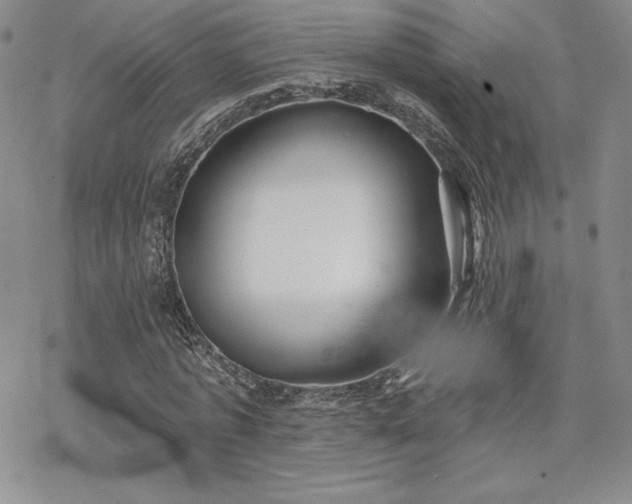 X0000070240773200606051124