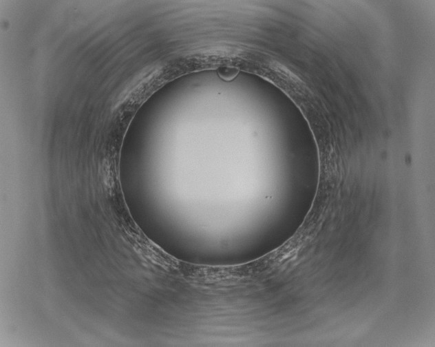 X0000070240774200606051124