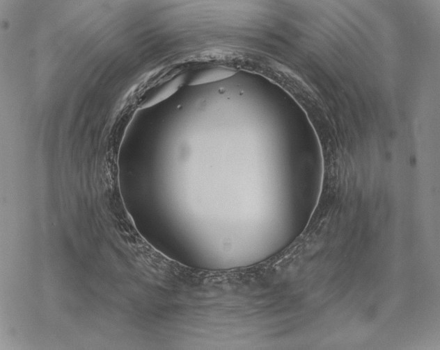 X0000070240776200606051124