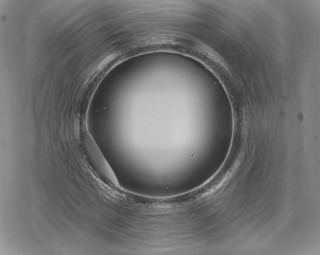 X0000070240777200606051124