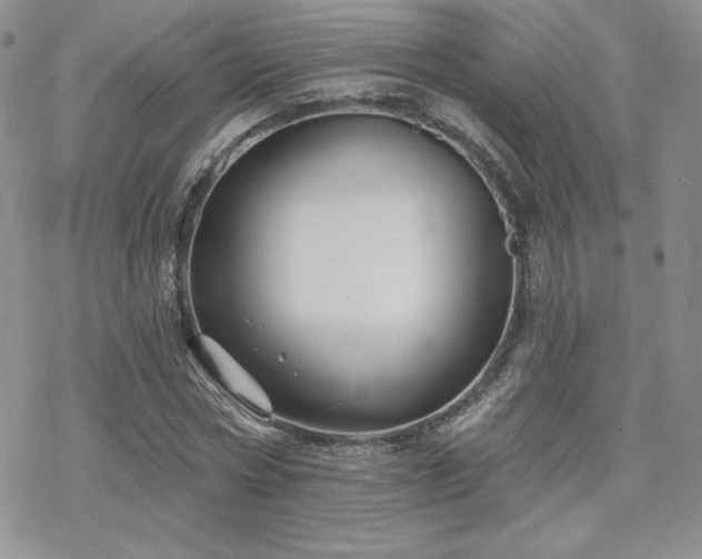 X0000070240778200606051124