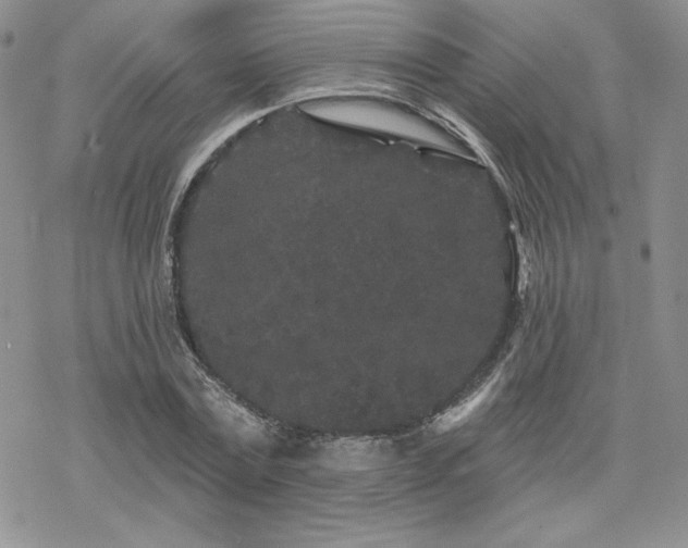 X0000070240779200606051124