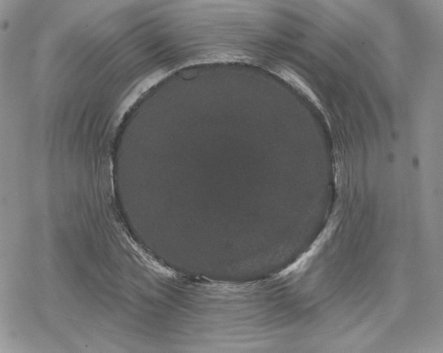 X0000070240781200606051124