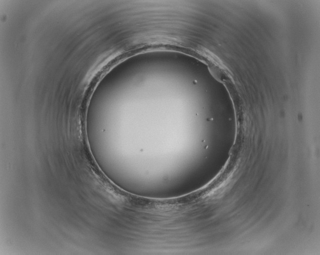 X0000070240782200606051124