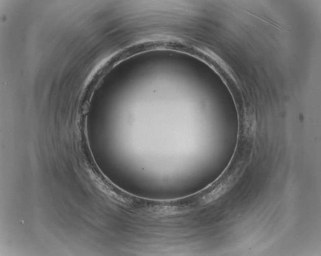 X0000070240783200606051124