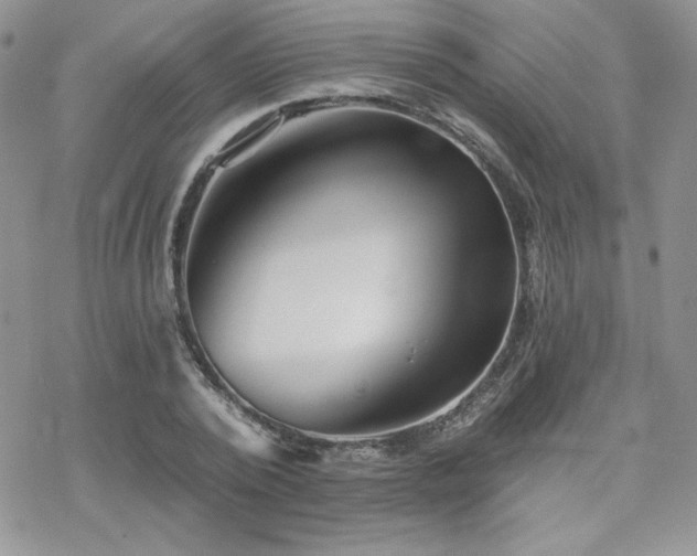 X0000070240784200606051124