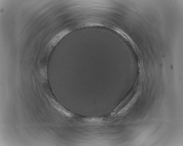 X0000070240785200606051124