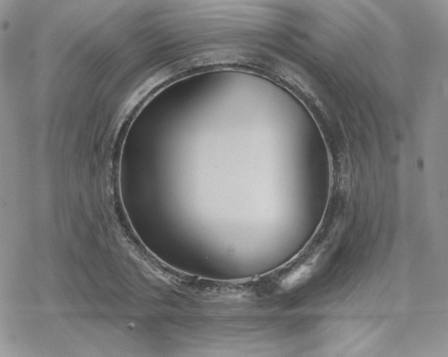 X0000070240786200606051124