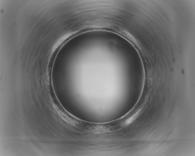 X0000070240787200606051124