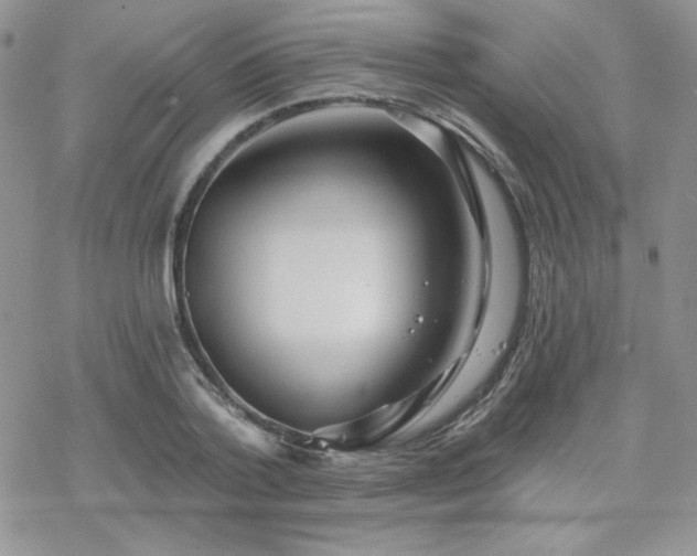 X0000070240788200606051124