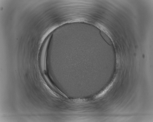 X0000070240789200606051124