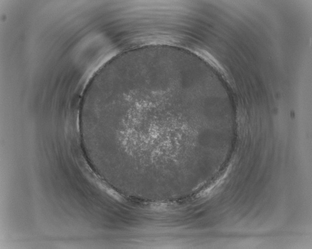 X0000070240790200606051123