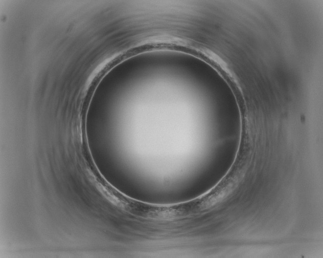 X0000070240791200606051123