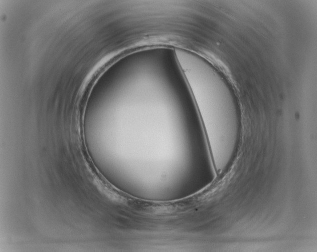 X0000070240792200606051123