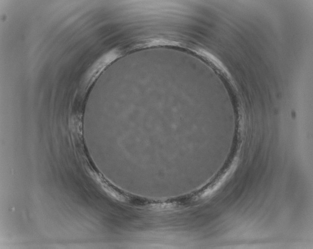 X0000070240793200606051123