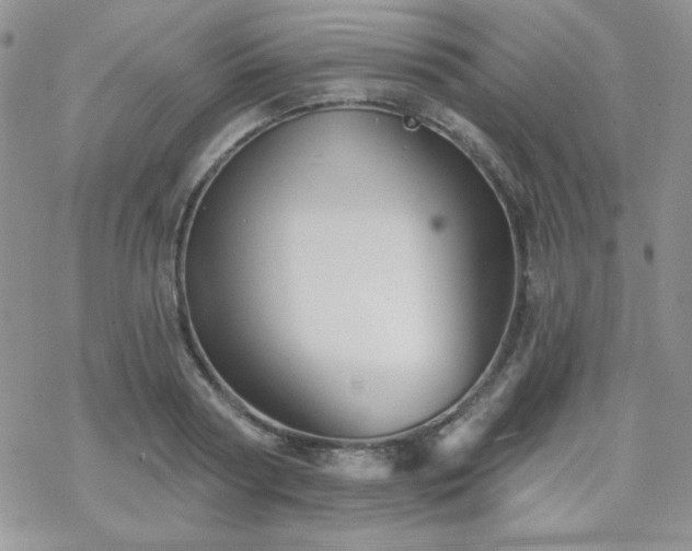 X0000070240794200606051123