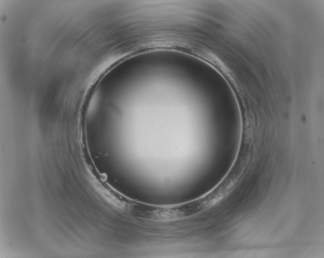 X0000070240795200606051123