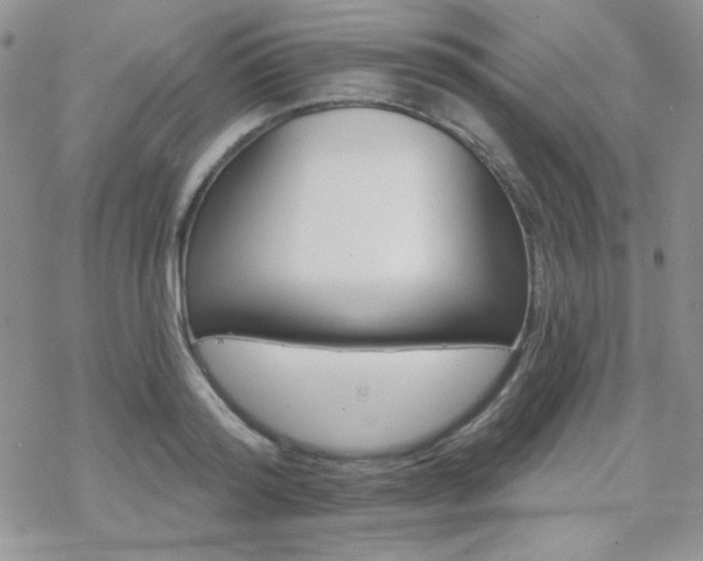 X0000070240796200606051123