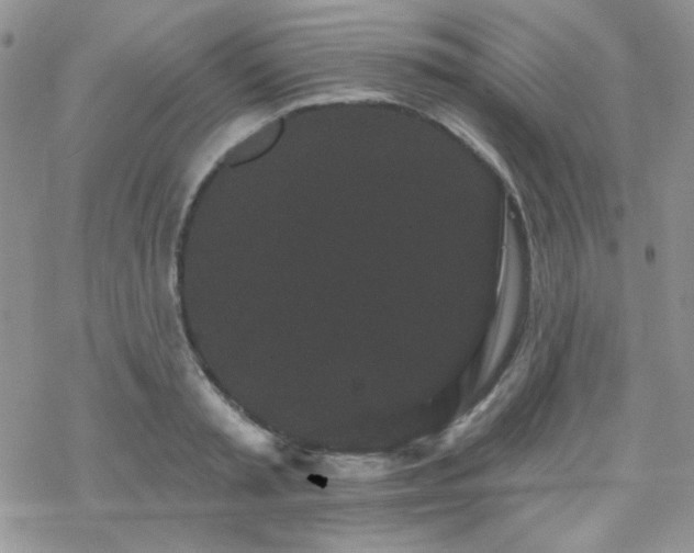 X0000070240797200606051123