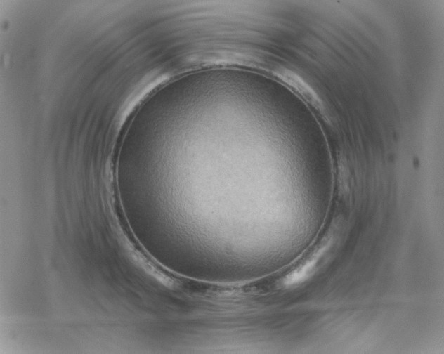 X0000070240798200606051123