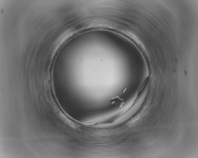 X0000070240799200606051123