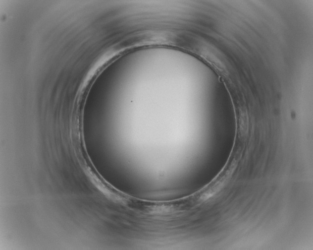 X0000070240800200606051123