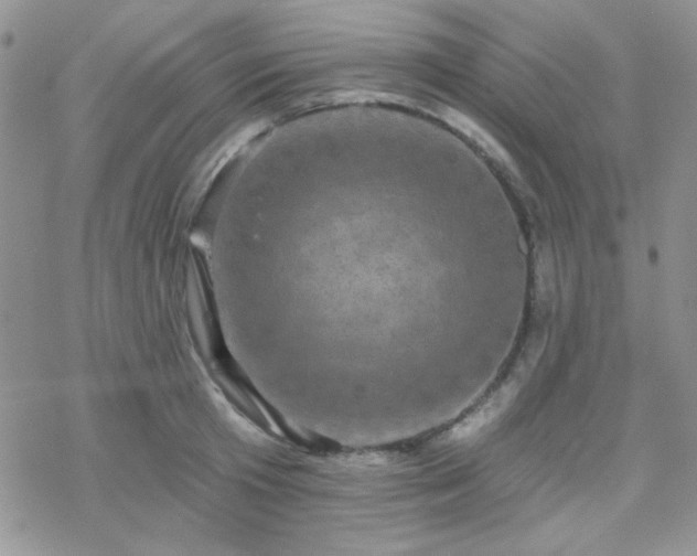 X0000070240801200606051123