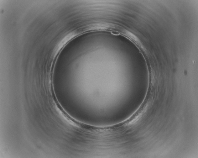 X0000070240802200606051123