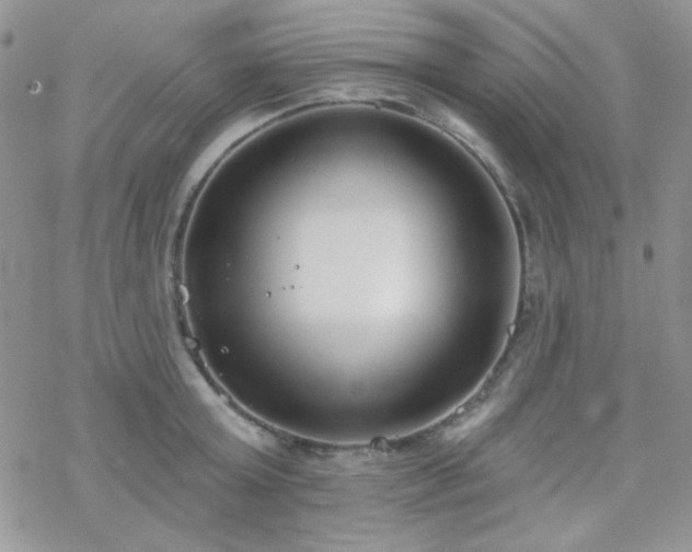 X0000070240803200606051123