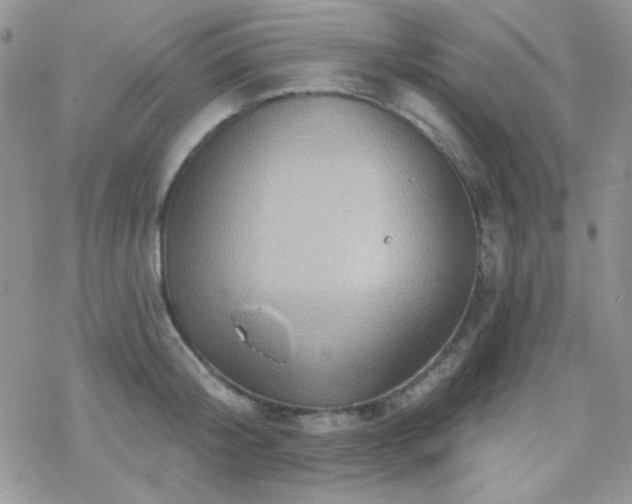 X0000070240804200606051123