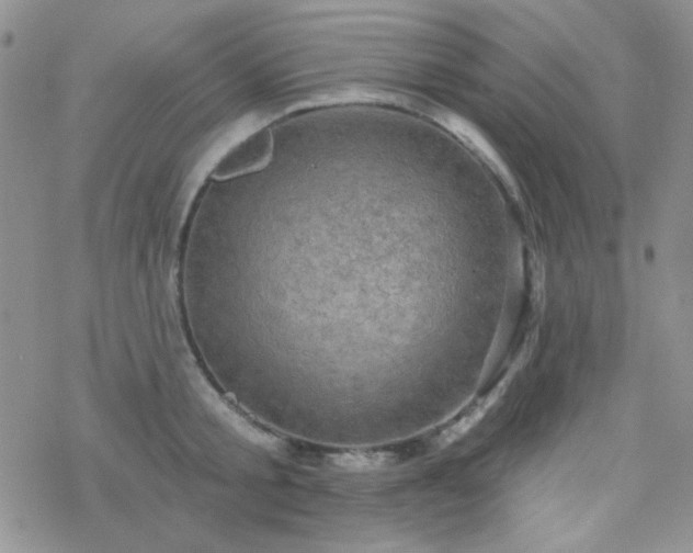 X0000070240805200606051123