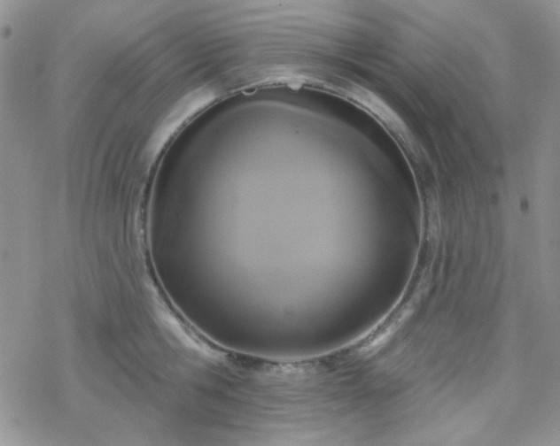 X0000070240806200606051123