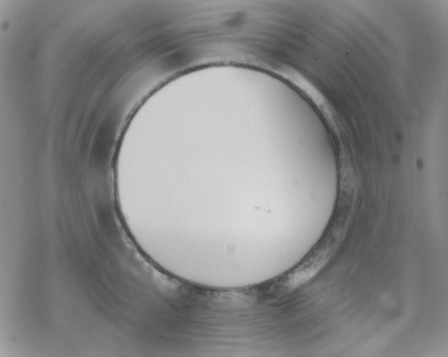 X0000070240807200606051123