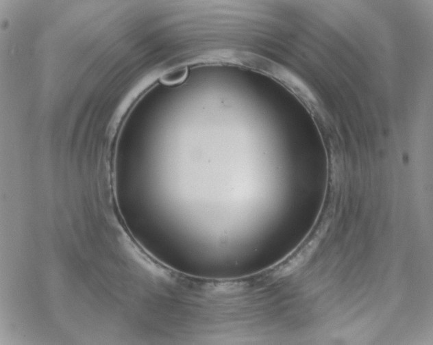 X0000070240808200606051123