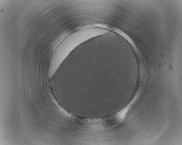 X0000070240809200606051123