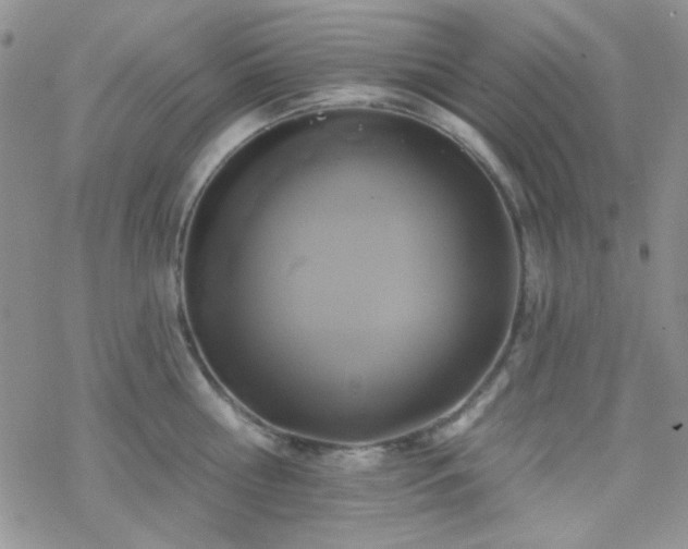 X0000070240810200606051123