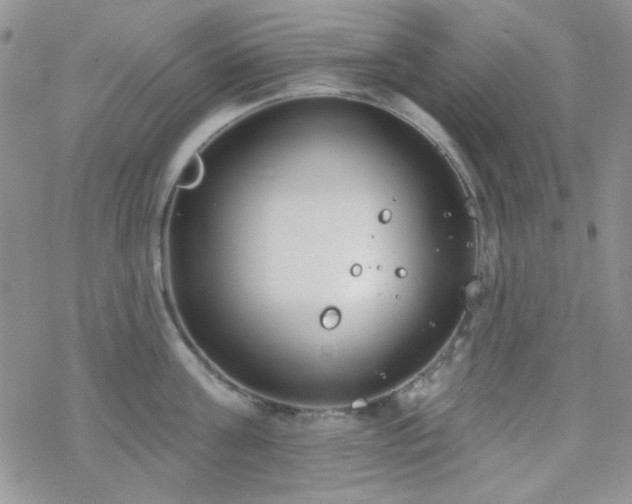 X0000070240811200606051123