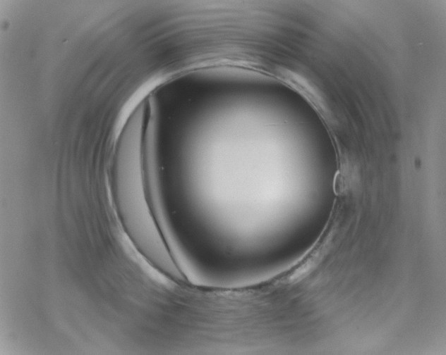 X0000070240812200606051123