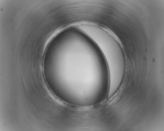 X0000070240813200606051123