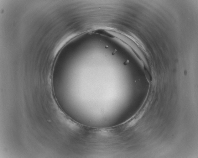 X0000070240814200606051123