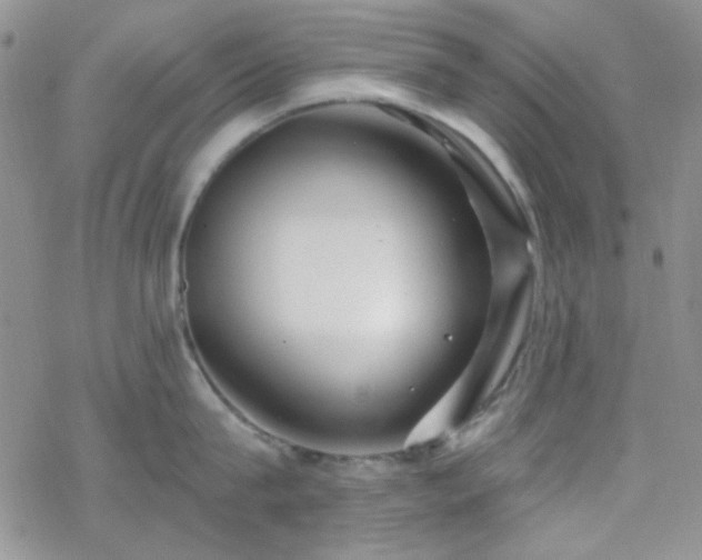 X0000070240815200606051123