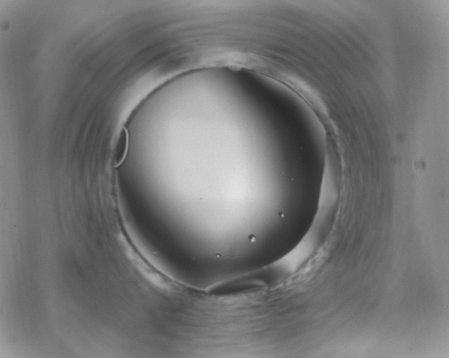 X0000070240816200606051123