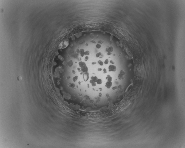 X0000070240817200606051122