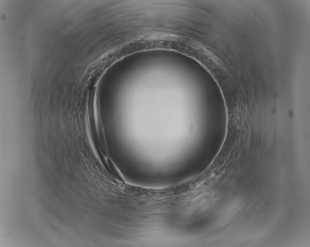 X0000070240821200606051122