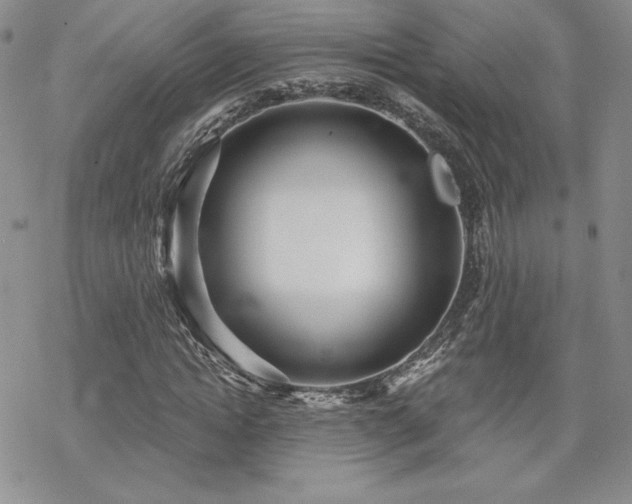 X0000070240822200606051122